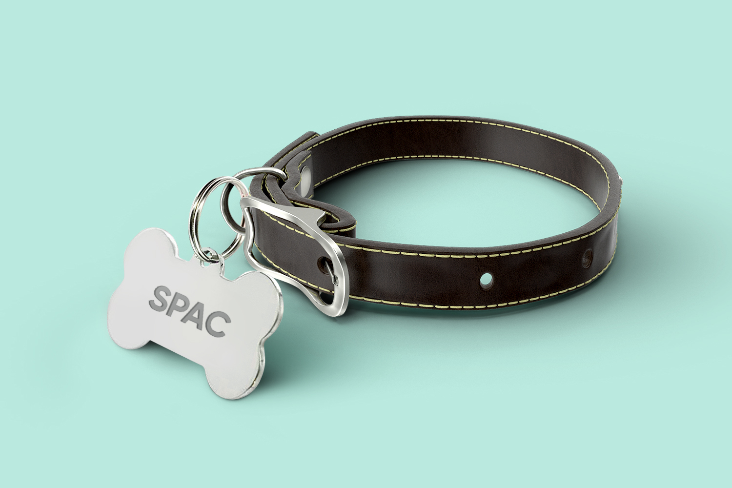 Barkbox collar Clearance